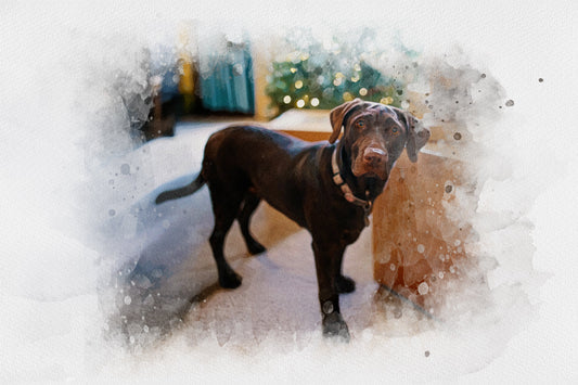 🐾 The Perfect Gift for Dog Dads: Personalized Pet Portraits That Celebrate His Best Buddy